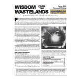 Wisdom from the Wastelands Issue #22: Personal Shields